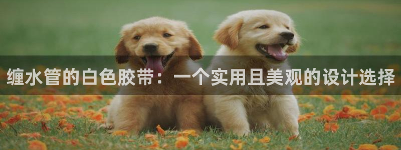 天辰娱乐44516