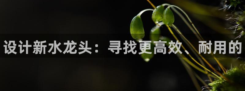 天辰a娱乐