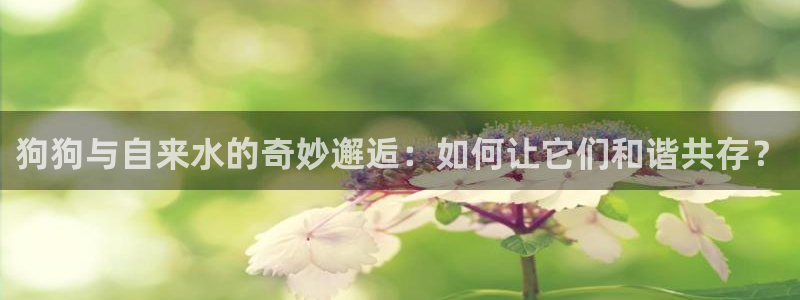 天辰娱乐文案