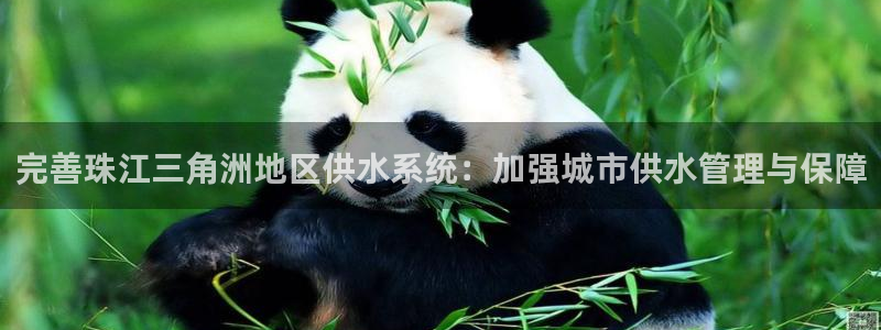 天辰娱乐线路