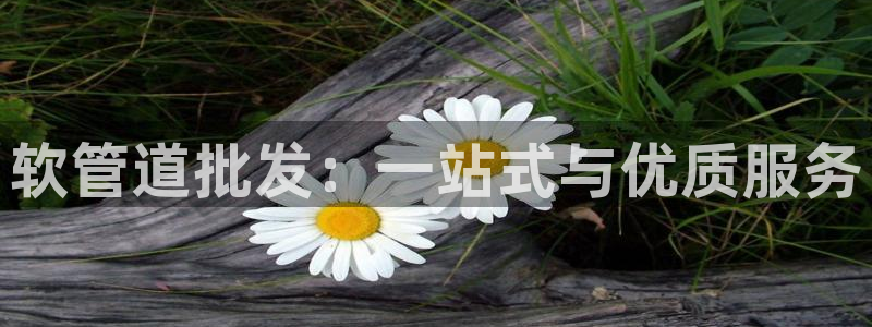 天辰娱乐 849852