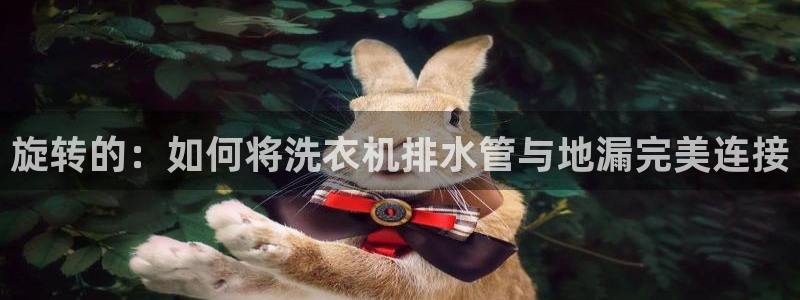 天辰宝娱乐
