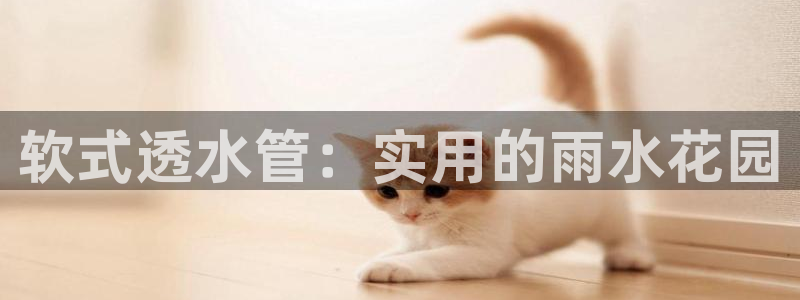 南京天辰娱乐