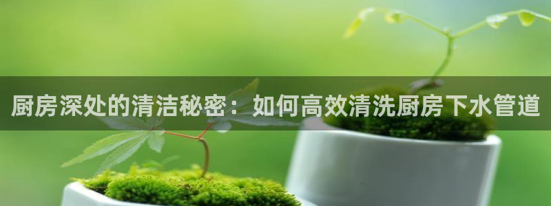 天辰娱乐在线