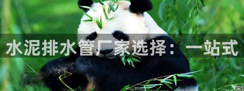 天辰娱乐官网平台下载