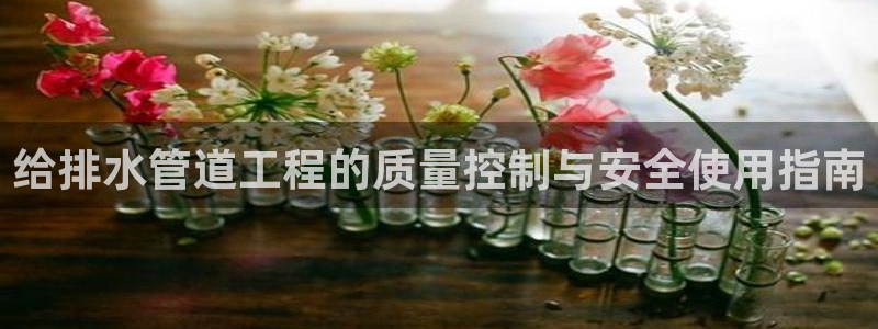 天辰娱乐国际