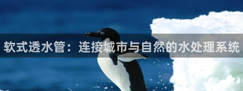 天辰娱乐-q