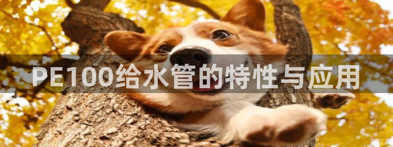 天辰娱乐84566