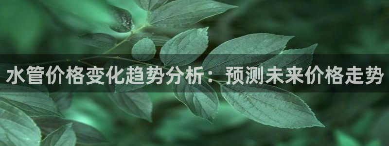 天辰娱乐下载地址