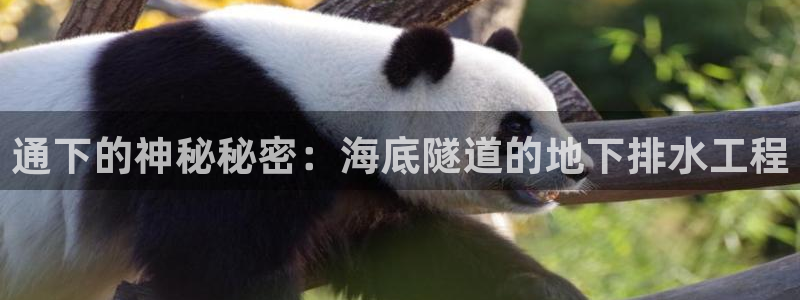 北京天辰娱乐