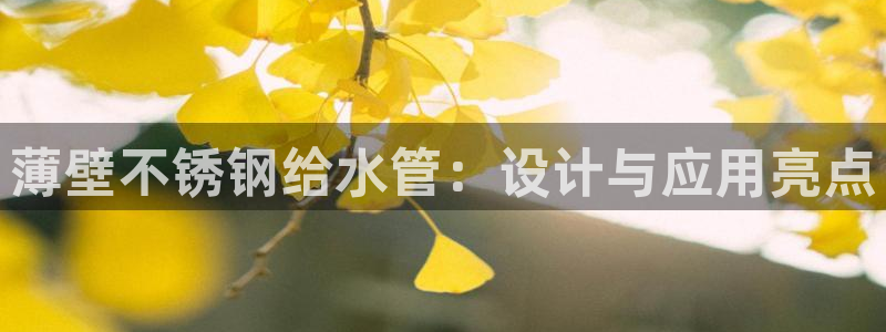 天辰娱乐60447