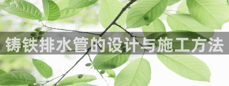 天辰娱乐-18113
