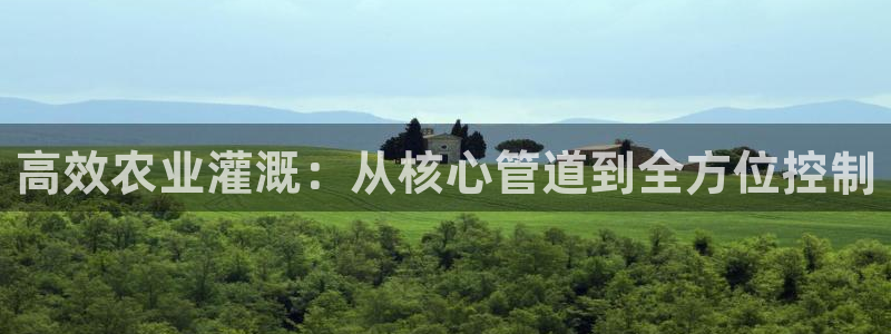 天辰娱乐61116