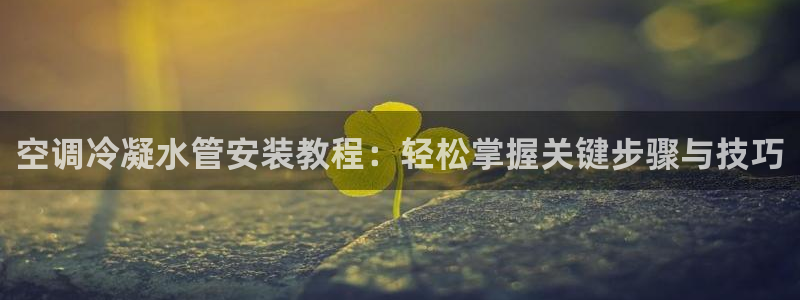 天辰娱乐44616