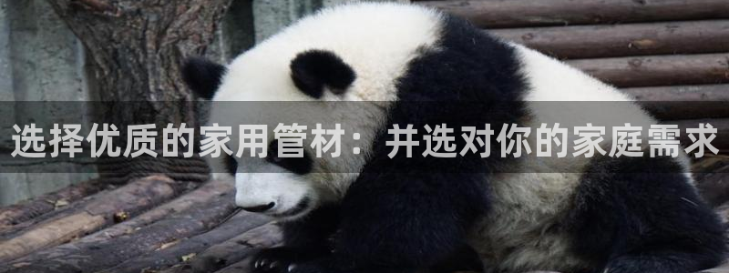 天辰娱乐登录测试