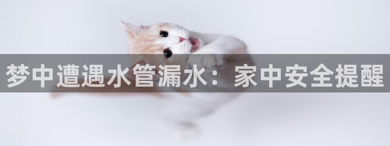 天辰娱乐十分彩