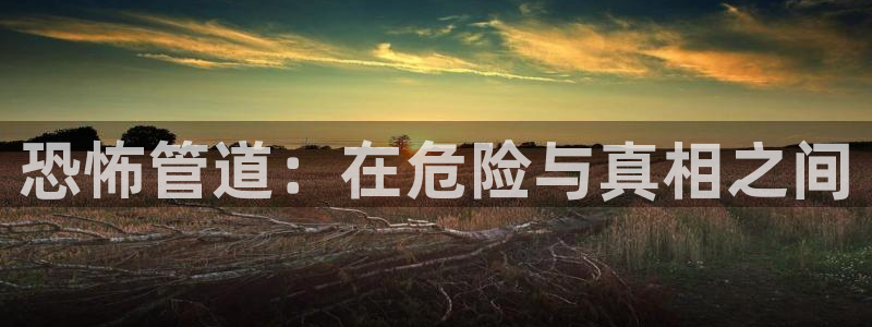 天辰娱乐在线