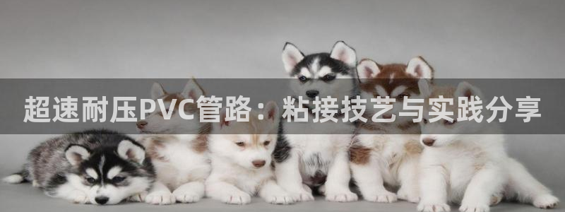 天辰娱乐文案