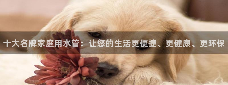 天辰娱乐 849852