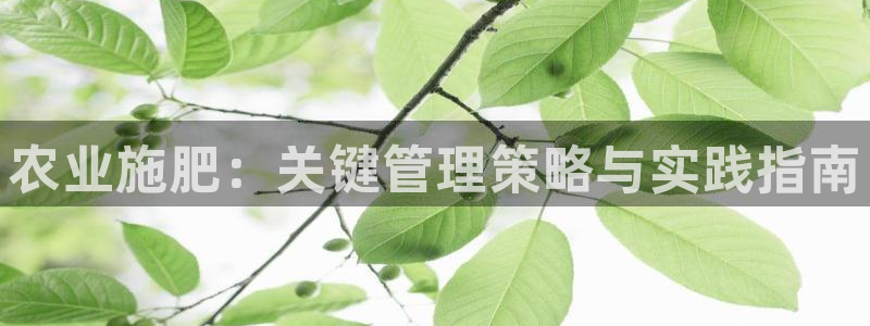 天辰娱乐指尖所
