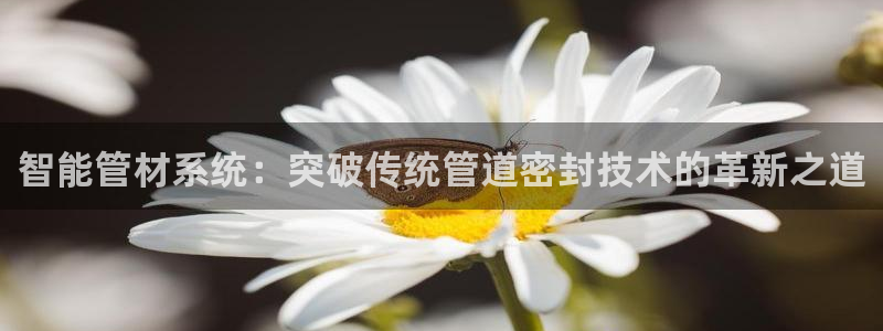天辰娱乐885544