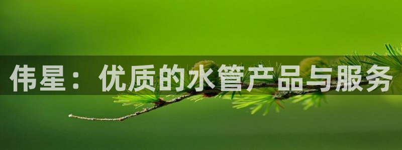 天辰娱乐的网址首页