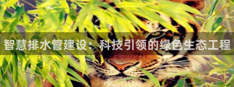 天辰娱乐_ 18113