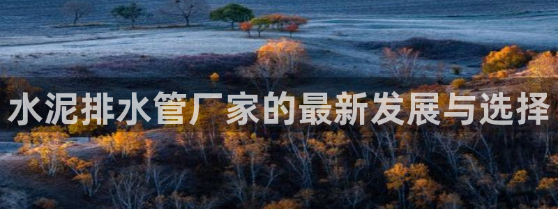 天辰娱乐总管年薪
