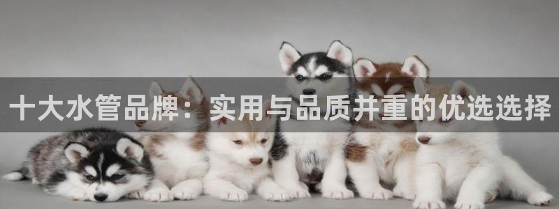 天辰娱乐 18113