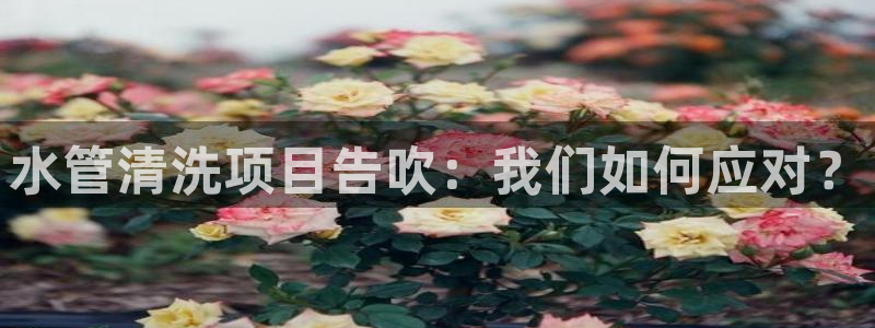 天辰娱乐10086