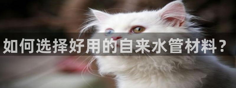 天辰国际娱乐
