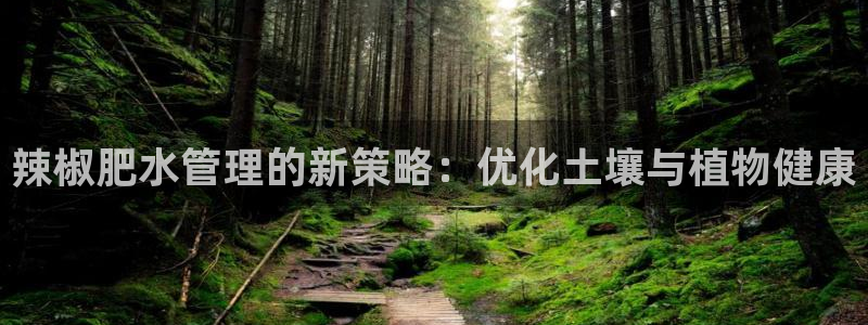 天辰臣娱乐