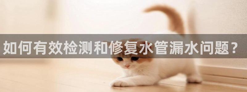 天辰娱乐海洋