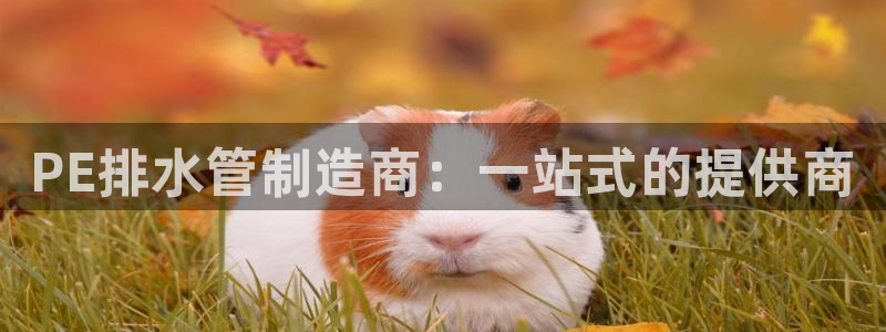 天辰娱乐 39974