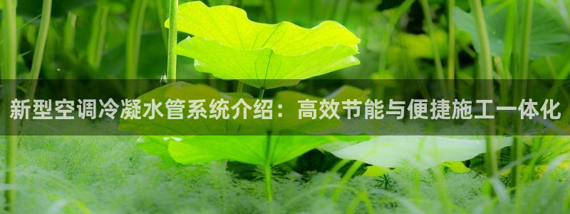 天辰娱乐棋牌