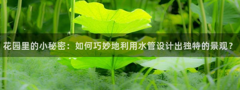天辰娱乐卡