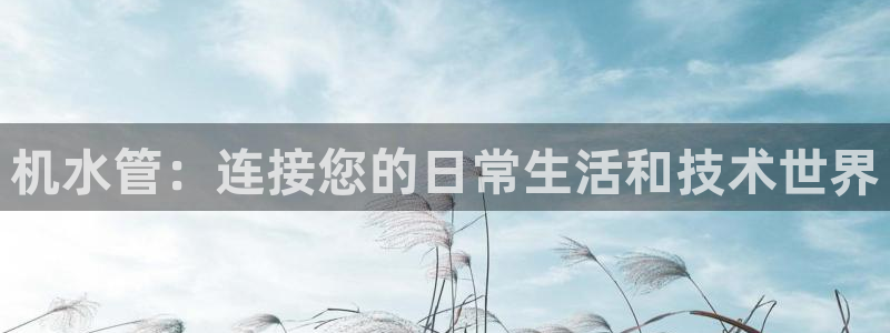 天辰娱乐指尖所