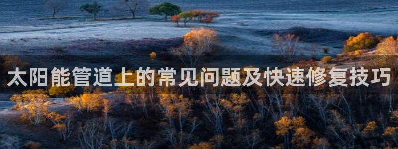 天辰娱乐 849852