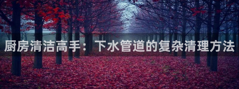 菲律宾天辰娱乐