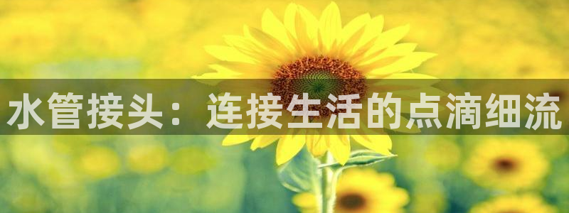 天辰娱乐网址娱乐游戏