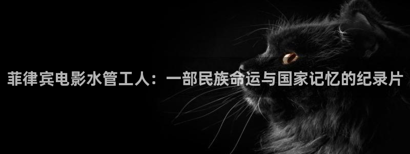 天辰娱乐总管