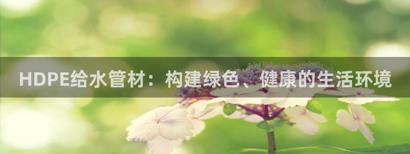 辰天娱乐