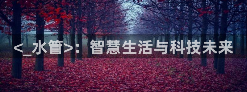 北京天辰娱乐