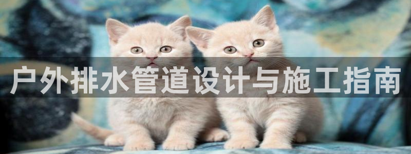 天辰娱乐84566