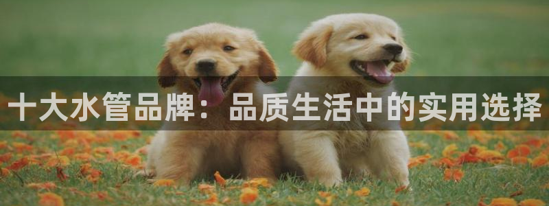 天辰 娱乐 注册