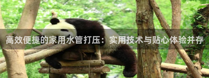 天辰娱乐登陆