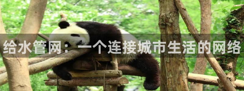徐州天辰娱乐
