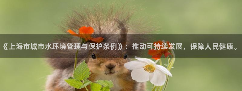 深圳天辰娱乐