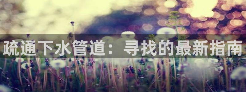 天辰宝娱乐