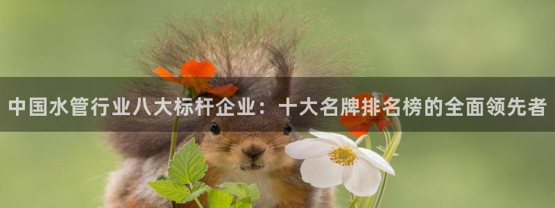 天辰娱乐十分彩